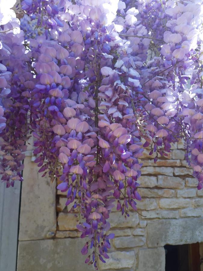 Wisteria Cottage Les Adjots Esterno foto